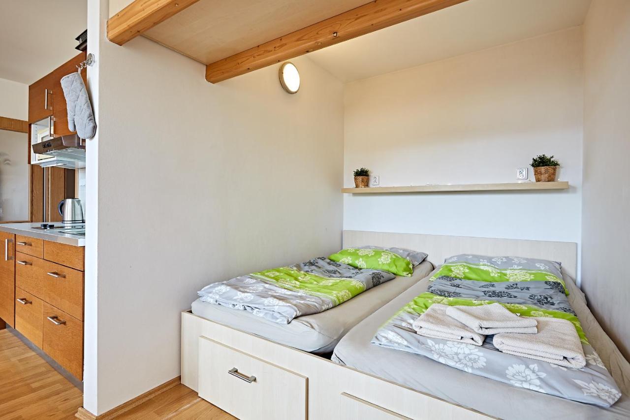 Apartman Klinovec 365 Loučná pod Klínovcem Екстериор снимка