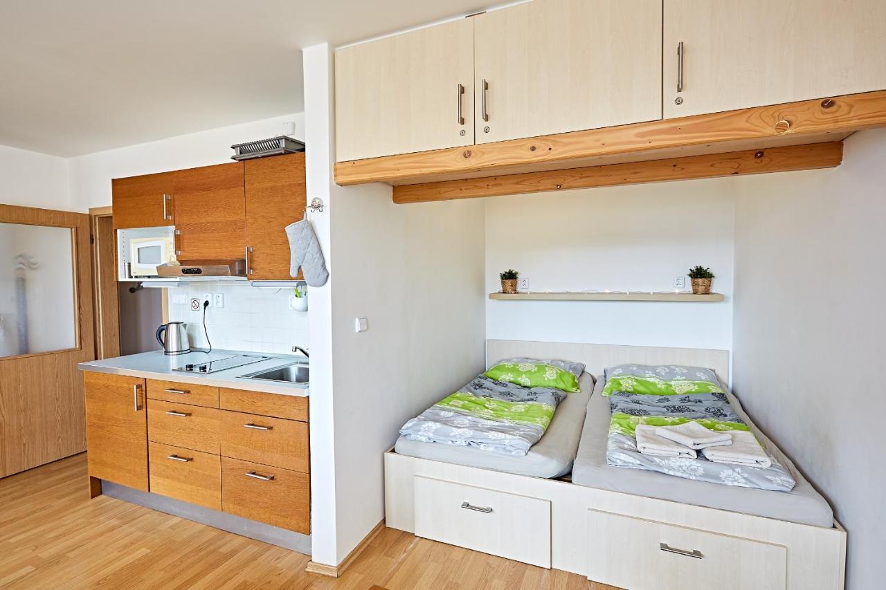 Apartman Klinovec 365 Loučná pod Klínovcem Екстериор снимка